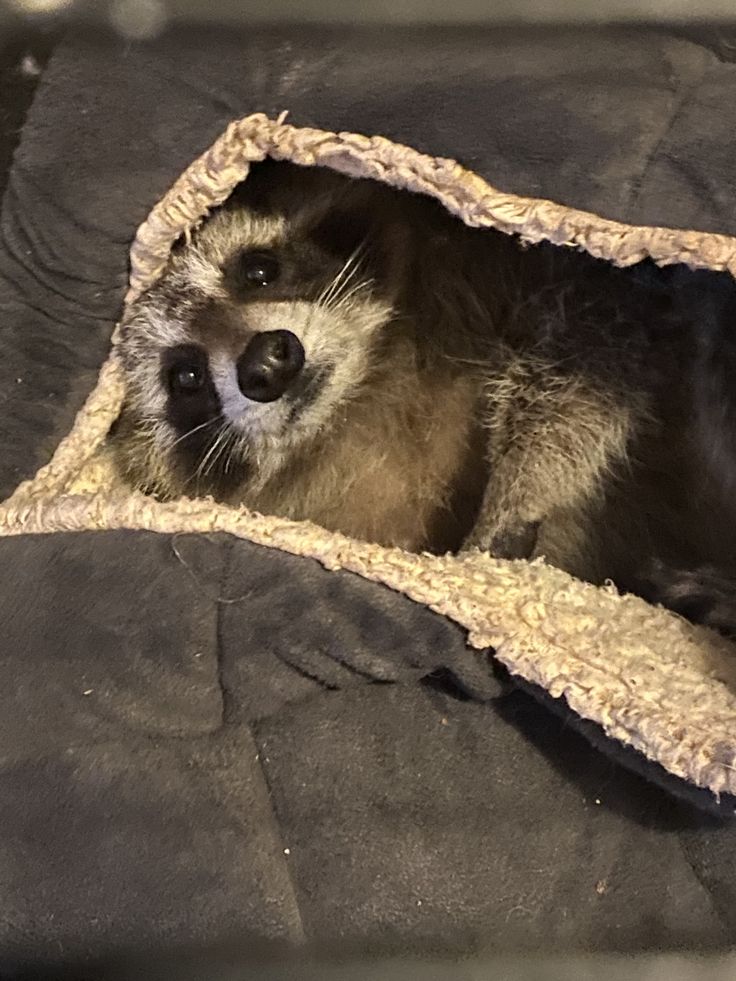Something about storms outside makes my sleep heavy.