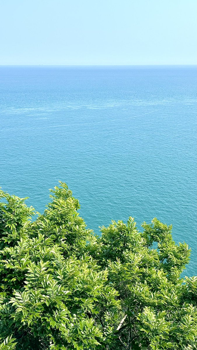 다롱이 통영 거제 남해 어쩌구