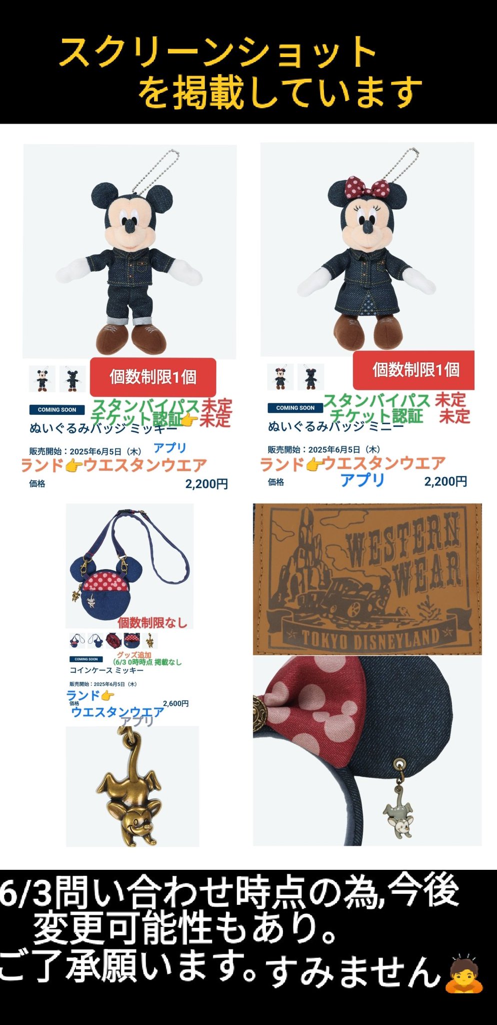 ディズニーランド ウエスタンウエア ぬいぐるみバッジ