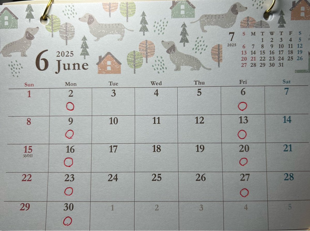 6月の活動予定です！
場所は大体矢田公園、時間は16:30からです！
雨の日は基本中止です！
場所や時間に変更がある場合はその都度お知らせします！
学年学部問わずどなたでも大歓迎なので、モルックに興味がある方はぜひ遊びにきてくださいね〜！
#名城大学
#名城
#ドーム前キャンパス
#ドムキャン