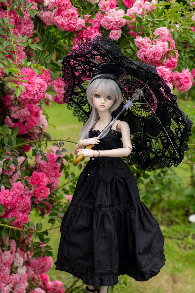 春薔薇 Valhalla