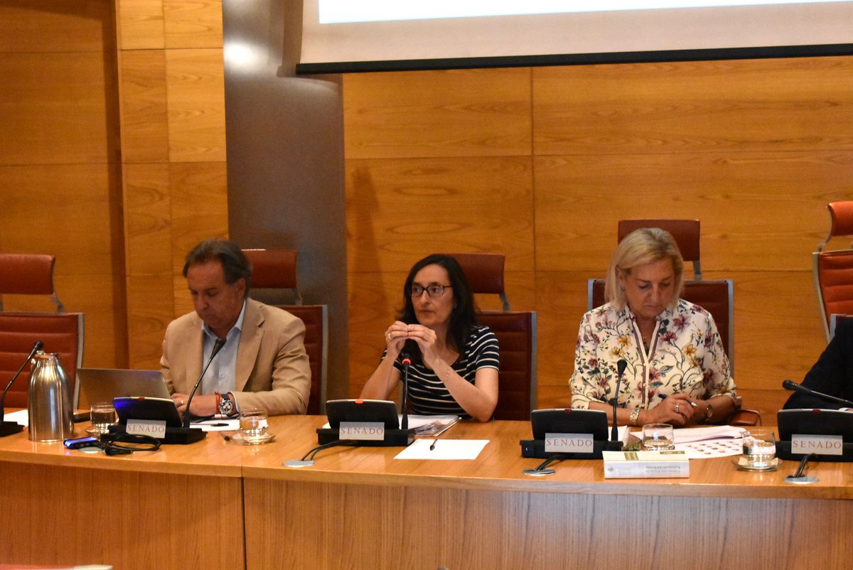 Senado de España tweet media