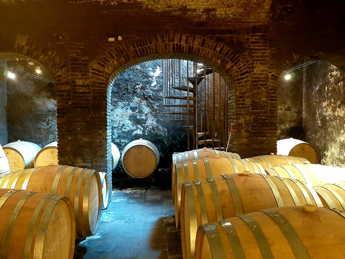 Michael Collins (@7mikecollins6) on Twitter photo This winery was a chicken farm, the barrel cellar a water cellar for the village, Gratallops, before Palacios, Barbier & the other hippies put Priorat on map. <a href="/closfigueras/">Clos Figueras</a> Great wines and Miquel a great host Thanks again <a href="/priorathotel/">Priorat Aparthotel, Falset, Tarragona,Spain</a> for arranging <a href="/Blinderswine/">MonthlyBlinders Wine</a> <a href="/philipnolan1/">Philip Nolan</a> This winery was a chicken farm, the barrel cellar a water cellar for the village, Gratallops, before Palacios, Barbier & the other hippies put Priorat on map. <a href="/closfigueras/">Clos Figueras</a> Great wines and Miquel a great host Thanks again <a href="/priorathotel/">Priorat Aparthotel, Falset, Tarragona,Spain</a> for arranging <a href="/Blinderswine/">MonthlyBlinders Wine</a> <a href="/philipnolan1/">Philip Nolan</a>