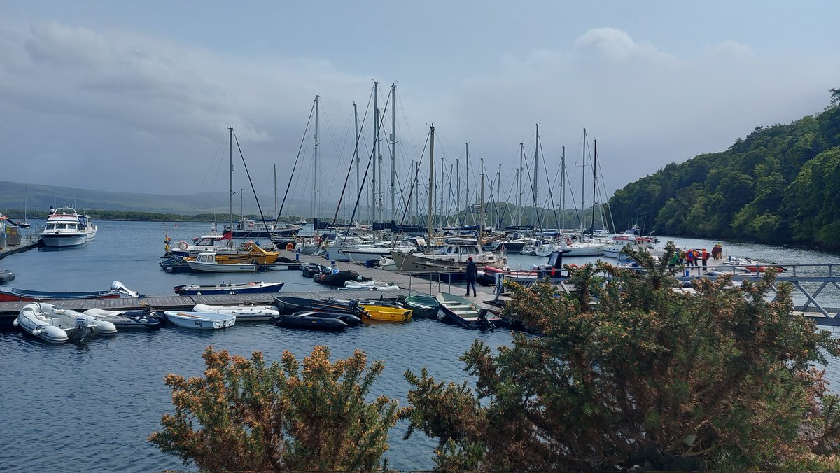 Tobermory pontoons busy today!