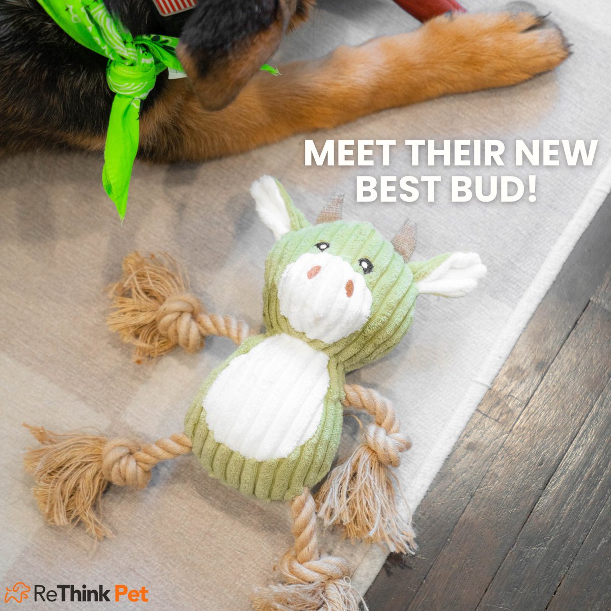 ReThinkPet's tweet photo. Say hello to your pup’s new Eco Bud Buddy! 🐶♻️💚
This plush + rope toy is squeaky, snuggly, and perfect for endless tug sessions! https://t.co/WZQ3LJ6Wb4