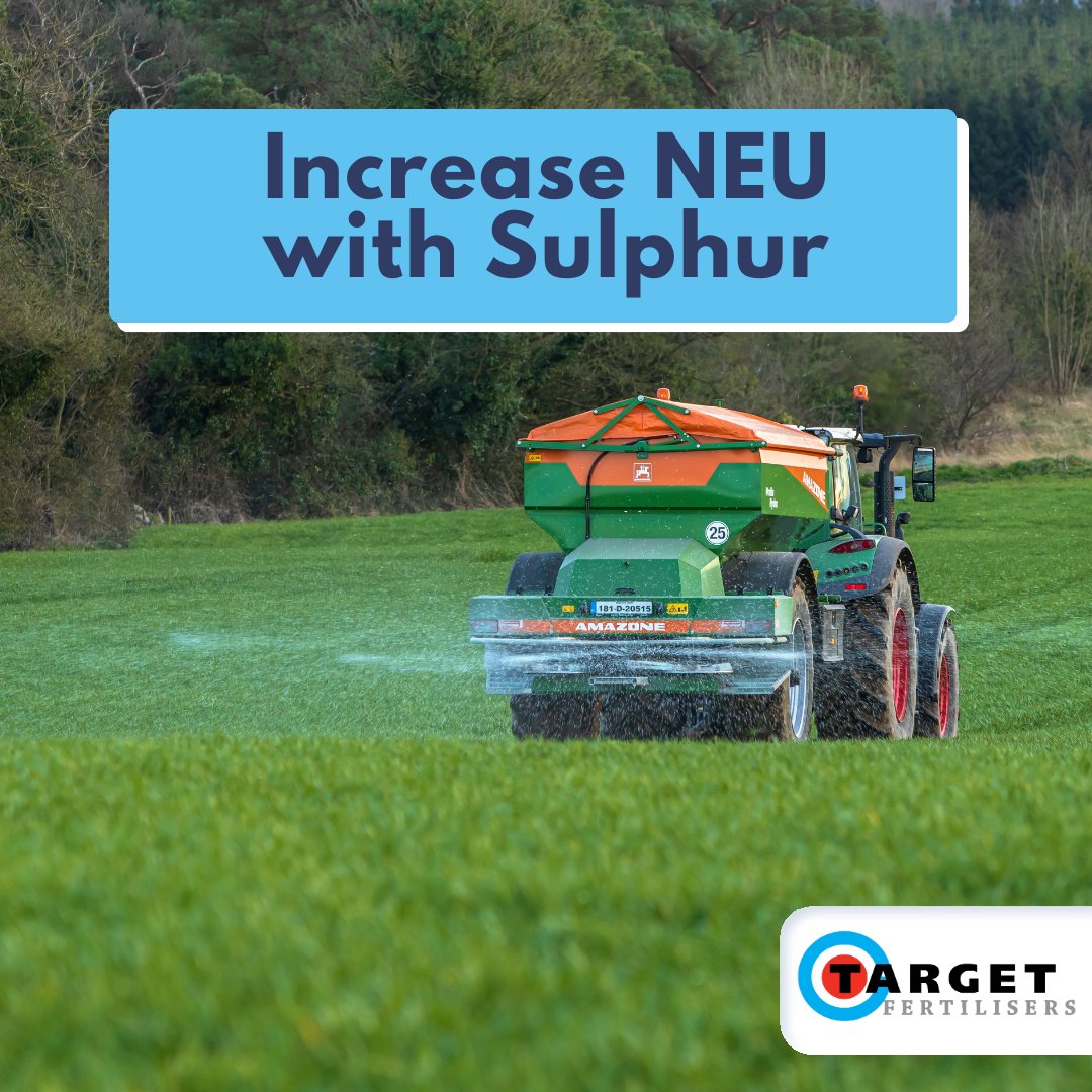 Sulphur application will increase N uptake and N use efficiency. ♻✅

Sulphur is essential for the formation of amino acids, the building blocks of protein. 🌟

View our range here: bit.ly/3LO82aa

#SoilHealth #GrasslandManagement #Sulphur