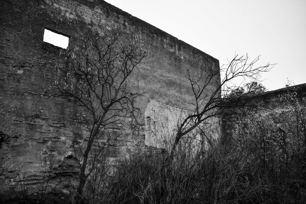 Muro elegante.