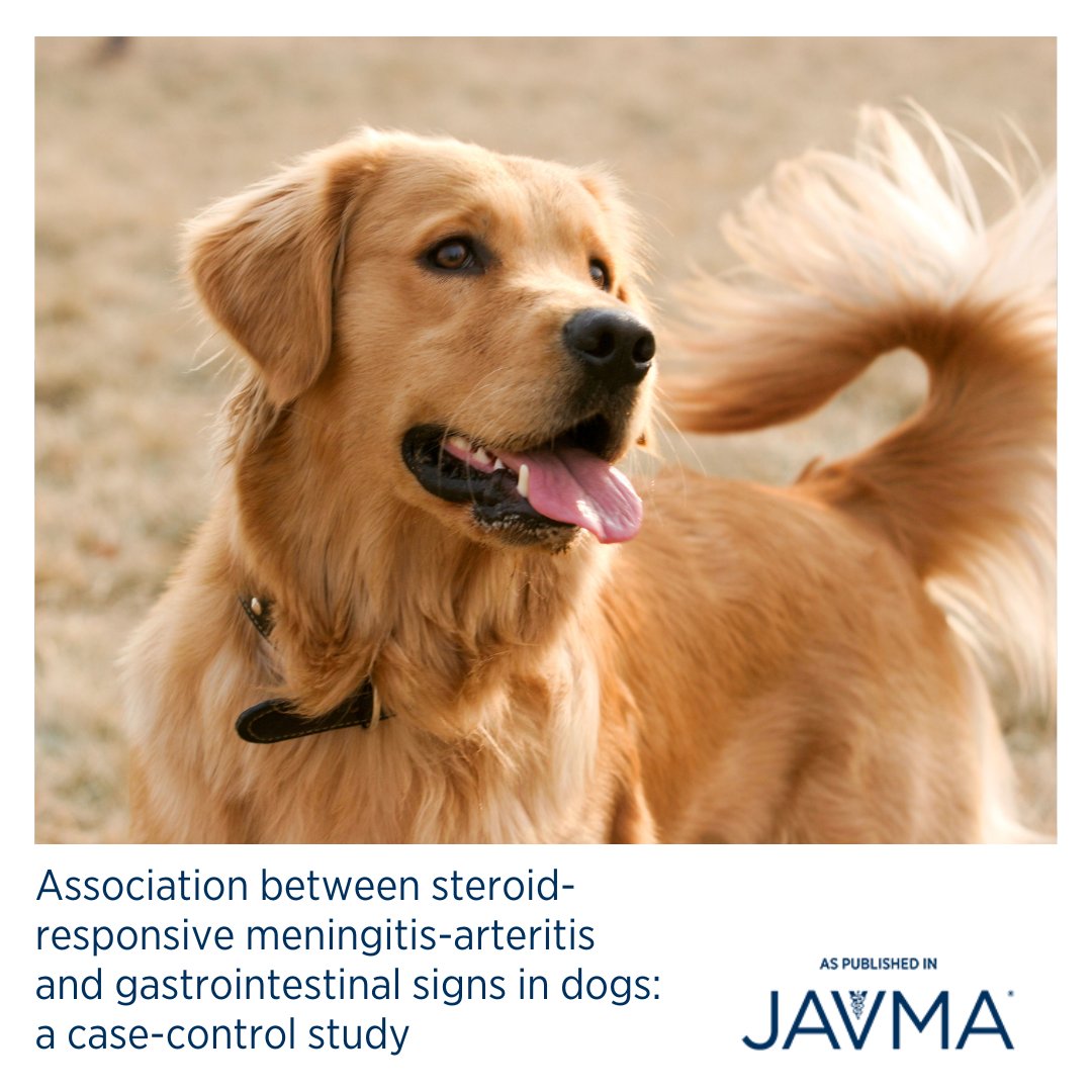 AVMAJAVMA's tweet photo. Gastrointestinal signs, specifically #vomiting and #diarrhea, were significantly more frequent in dogs with steroid-responsive meningitis-arteritis compared to a matched control population. Learn more: https://t.co/WUm5Qt6HAZ #SRMA #canine #gastrointestinalsigns https://t.co/4GO99MnaCR