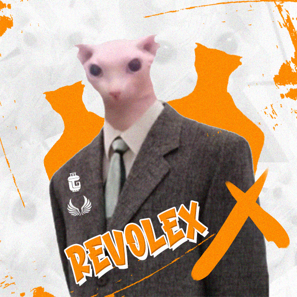 TG | RevoleX 𓆩𓆪 tweet media