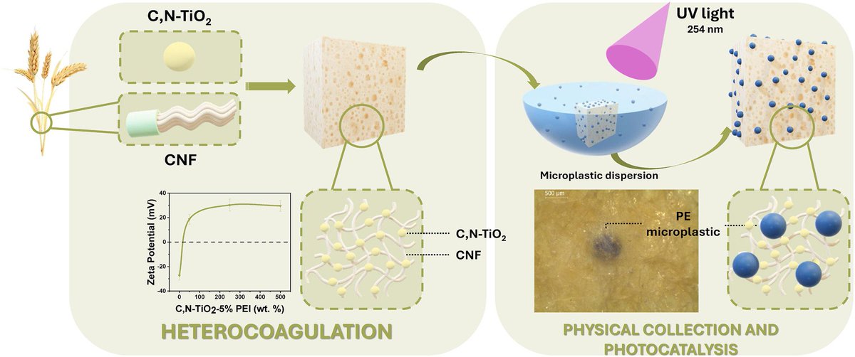 Reme Montenegro tweet media