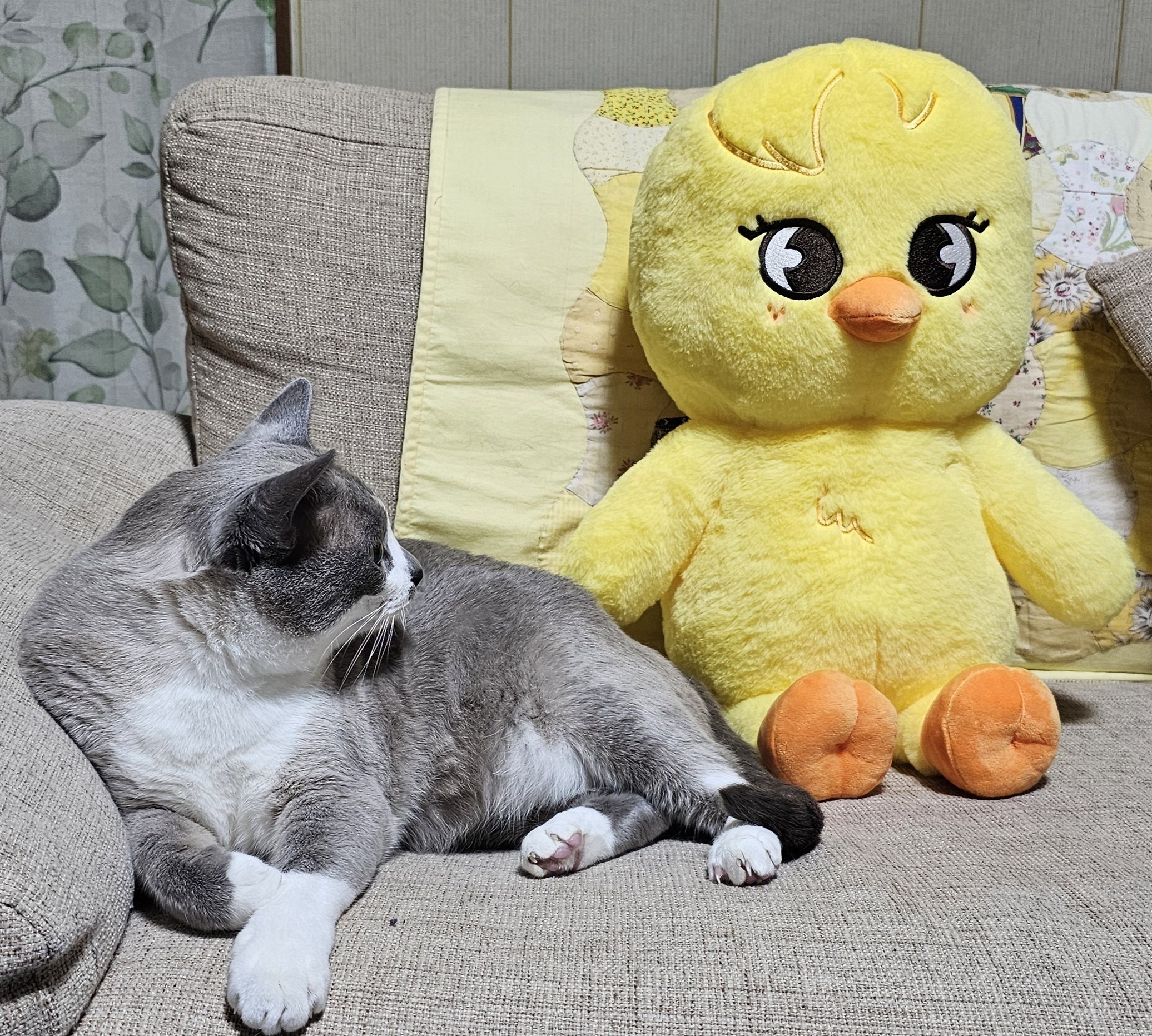 SKZOO テディベア ポガリ - メルカリ