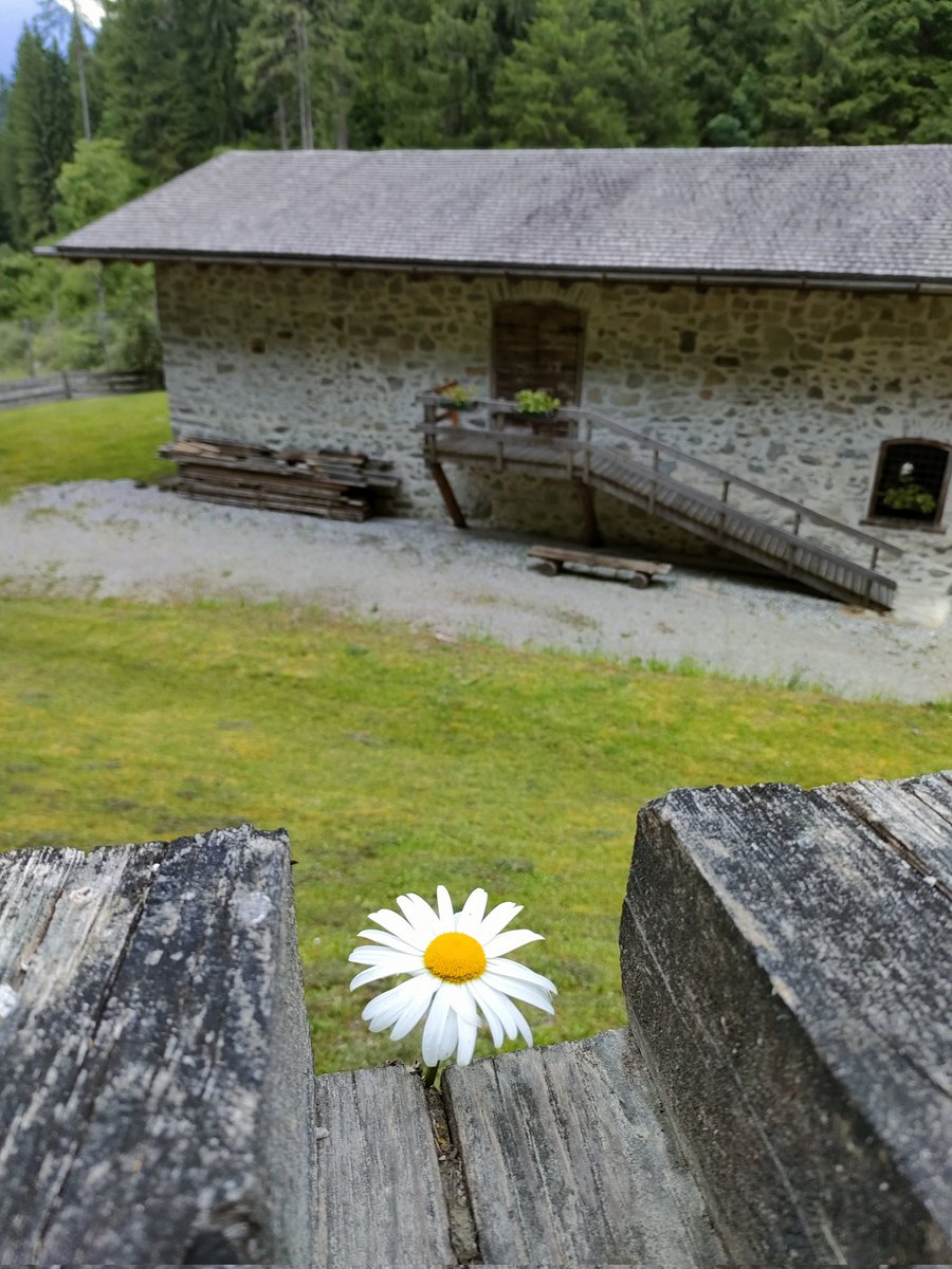 Iva Callegari tweet media