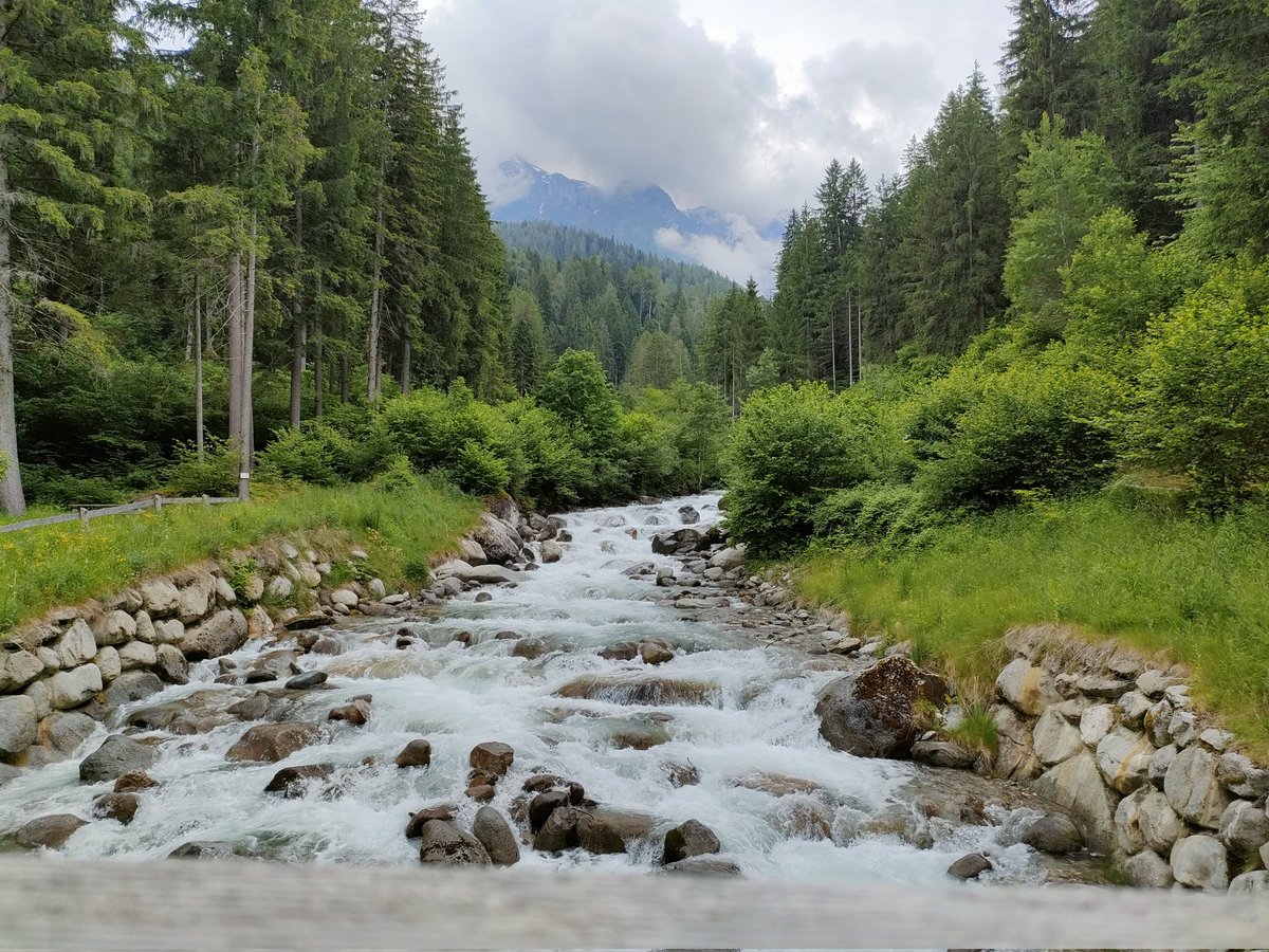 Iva Callegari tweet media