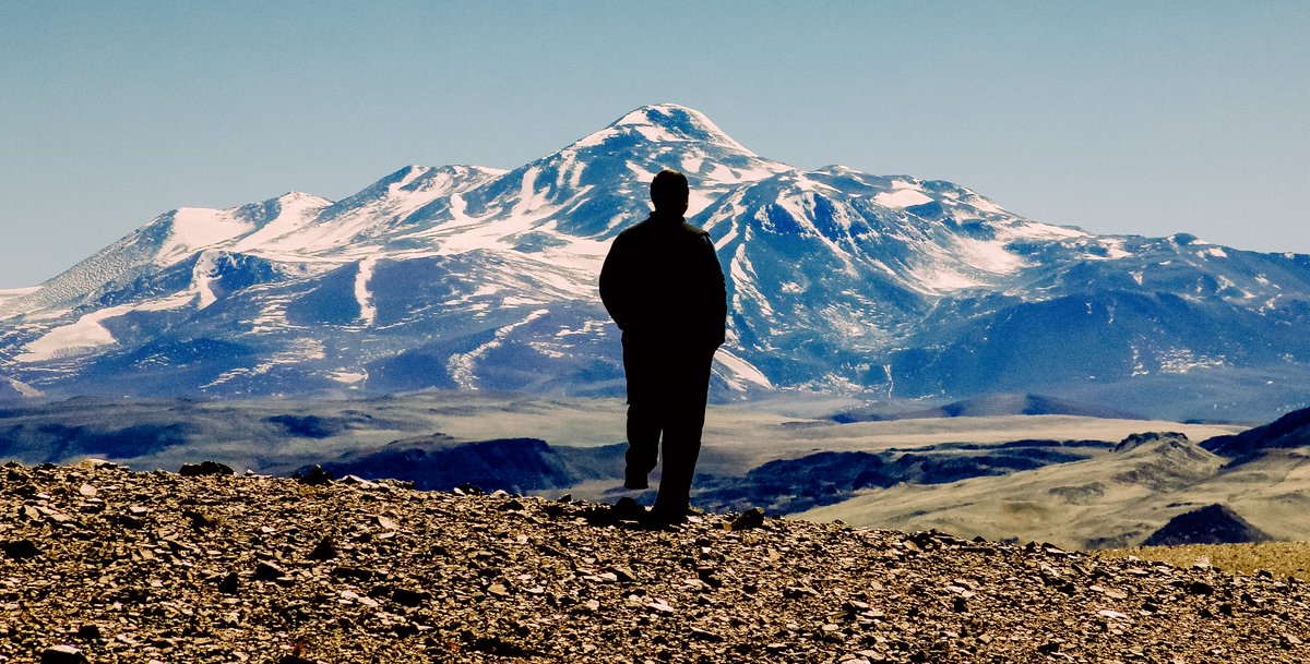 Diego Diaz tweet media