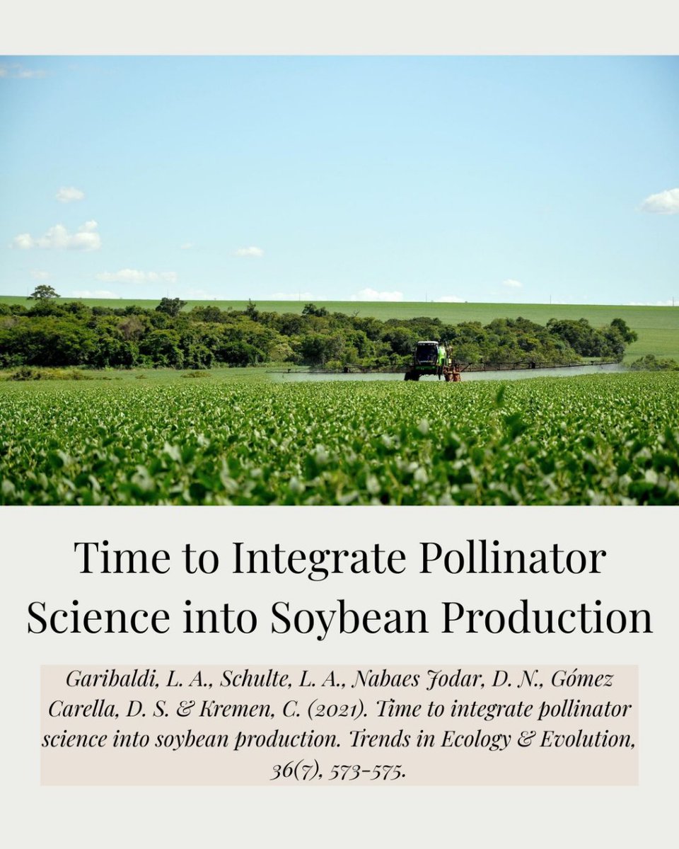 La #soja cubre 129 millones de hectáreas en el mundo pero su manejo suele ignorar la #polinización biótica.
En este artículo en TREE mostramos cómo integrar ciencia de polinizadores en soja puede mejorar rendimientos sin expandir la frontera agrícola.

🔗 doi.org/10.1016/j.tree…