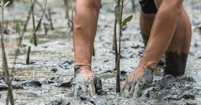 commonwealthsec's tweet photo. 🌍 Did you know 33 of the world’s 42 small states are in the #Commonwealth? They’re at risk from climate change.

🤝 We help them build resilience through initiatives like the Commonwealth Climate Finance Access Hub.

🔗 Learn more about our work 👇

#CommonwealthForClimate