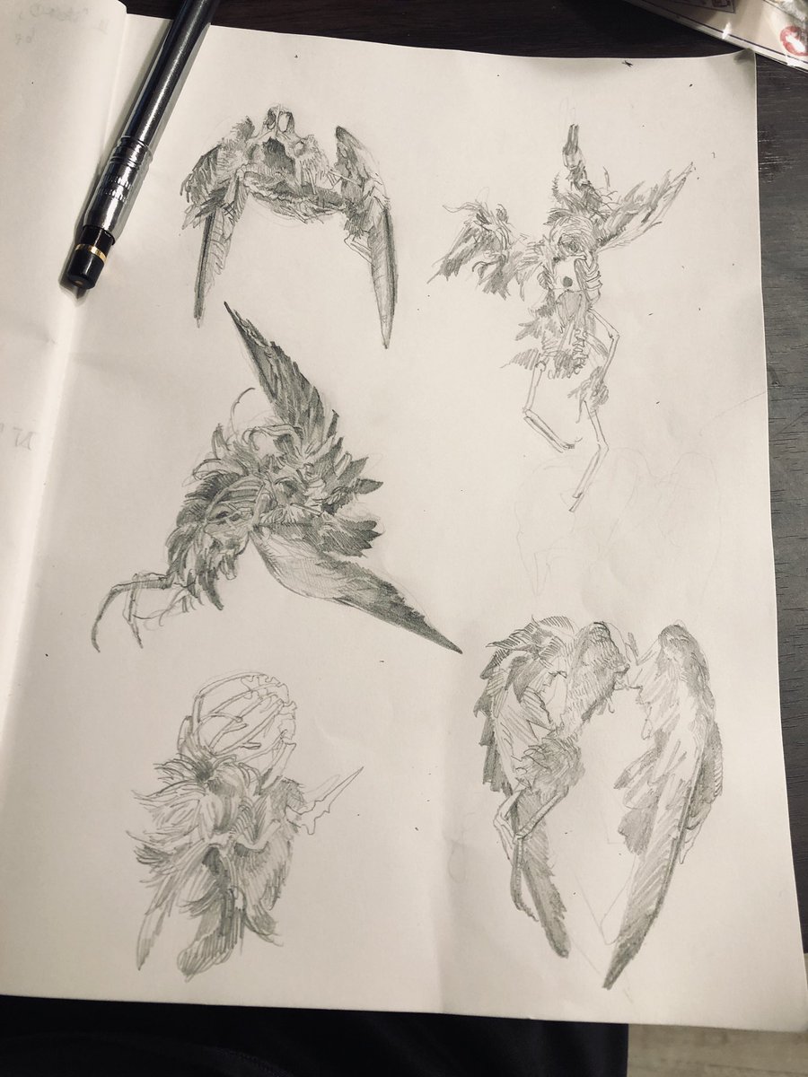鳥の死骸スケッチ 