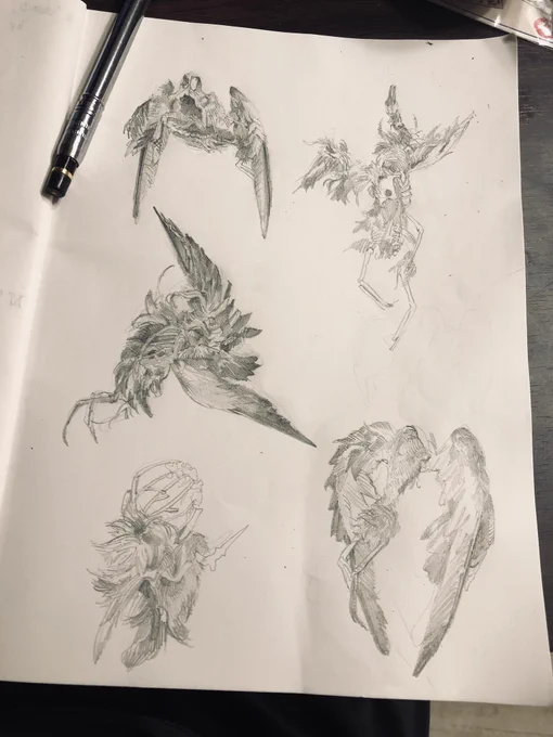 鳥の死骸スケッチ 