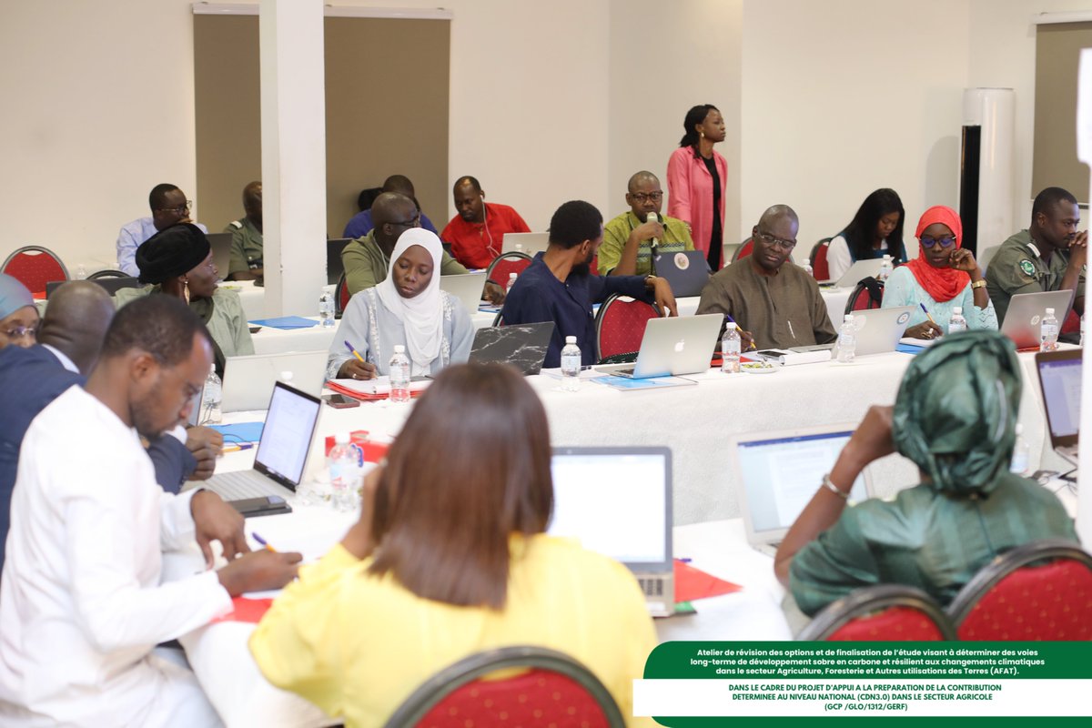 FAOSenegal's tweet photo. 〽️Une étape clé vers la neutralité carbone
Le Sénégal 🇸🇳révise ses options d’atténuation et d’adaptation face aux changements climatiques #LTS-AFAT avec l’appui du projet BMZ, en préparation de sa contribution nationale #CDN3.0
📍Mbour| 🗓️2-4 juin https://t.co/7MffhSoNMt