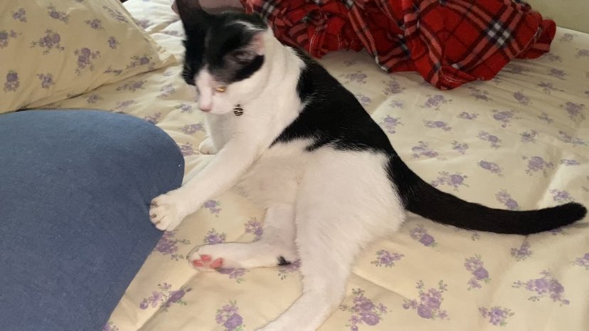 Jahartttttt. Tak baik begitu sedara.