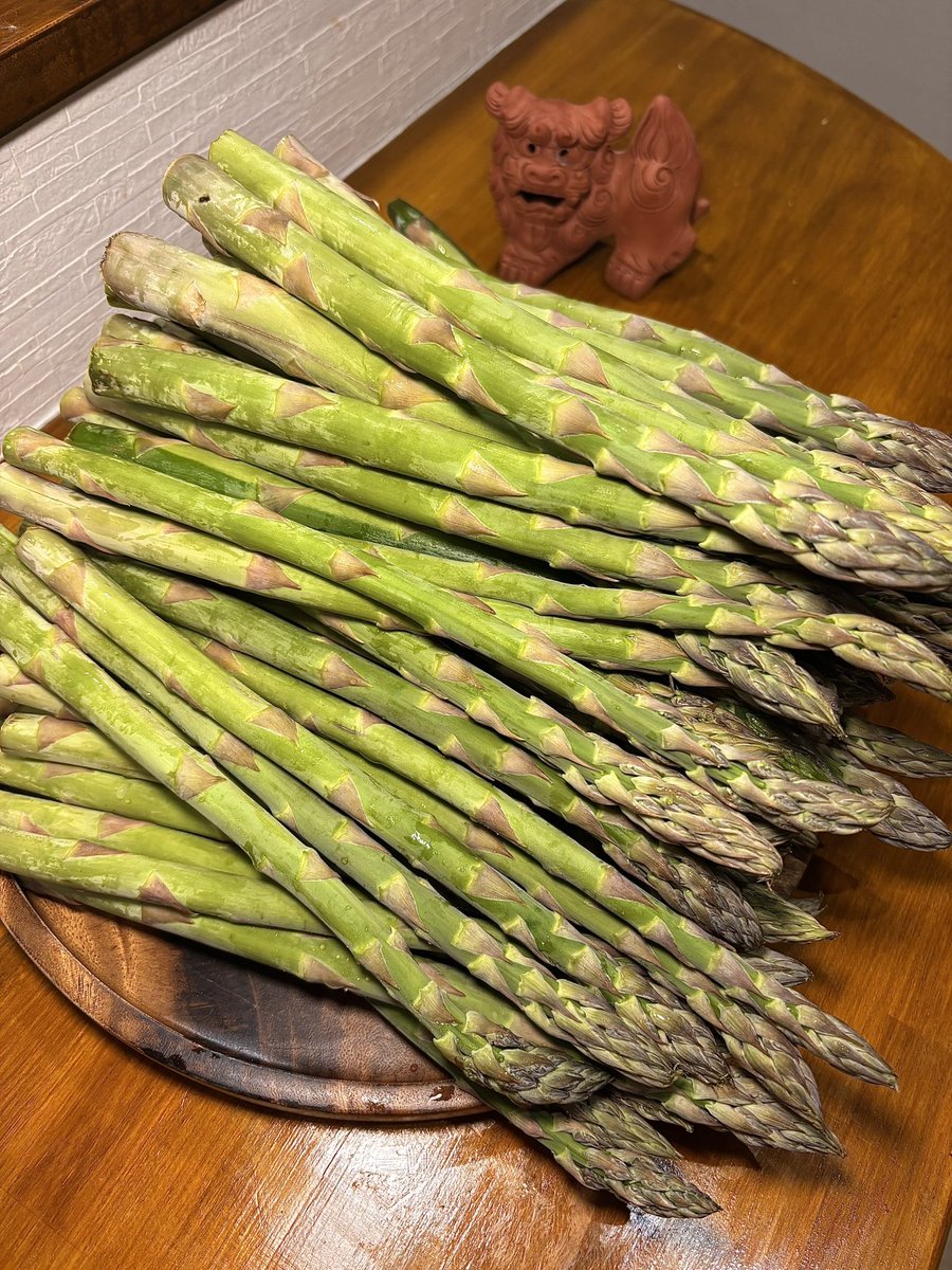 アスパラ3キロ頂いたので肉巻き作るよ〜〜！！！！！