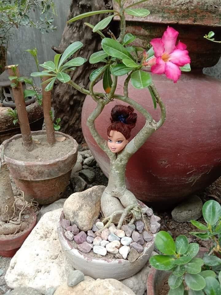Hey, Akimo. I hope you're well.  
✌️😃  Have a wonderful day filled with the scent of flowers &amp;
beautiful things. 🌸