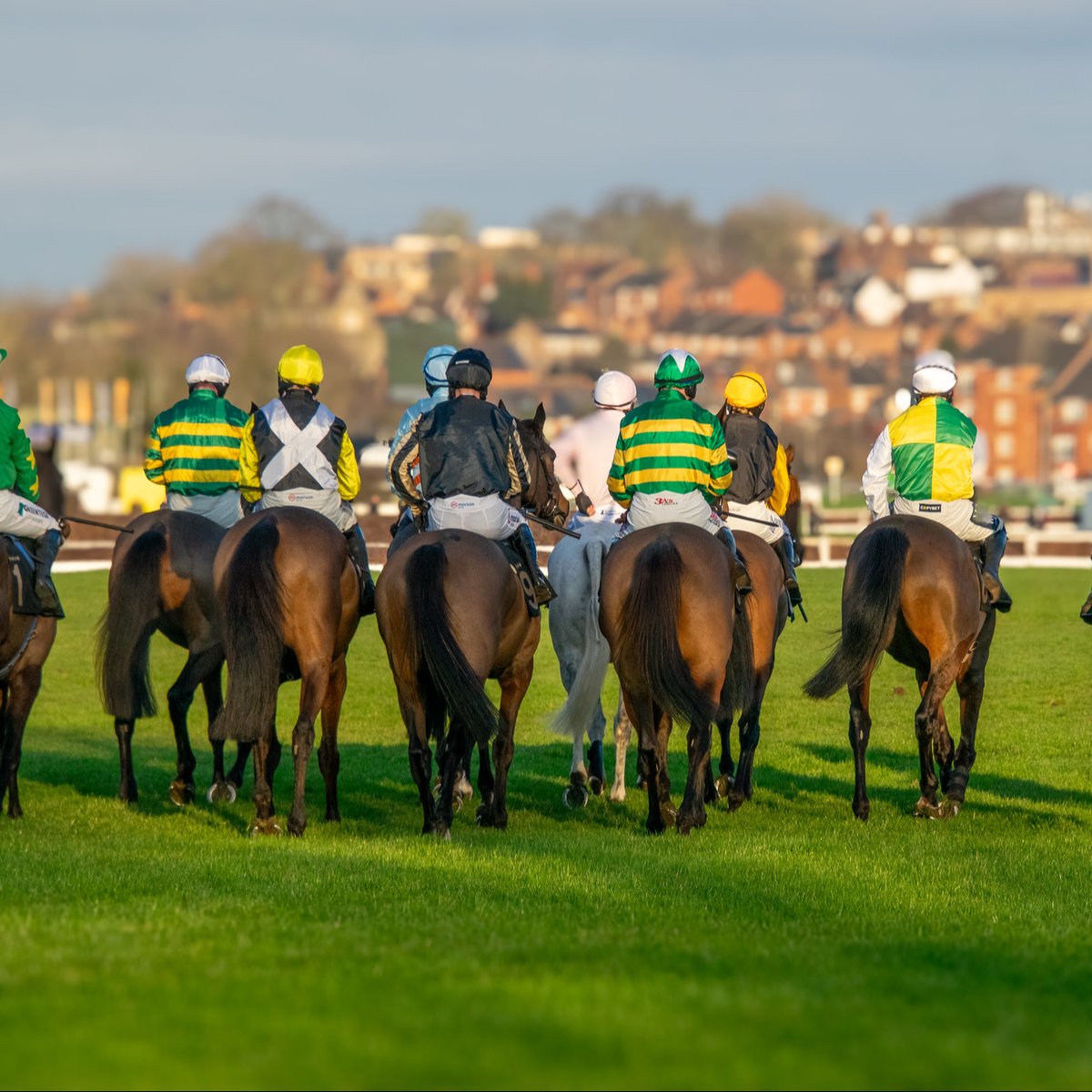 The last raceday of the season is almost here
Join us tomorrow - Wednesday 4 June for our Wigley Property Night, don't miss your final chance to be part of the action!

⏰Gates open: 4:30pm
🐎1st race: 6:00pm
🏇Last race: 8:40pm

🎟️Book your tickets before midnight to save 20%