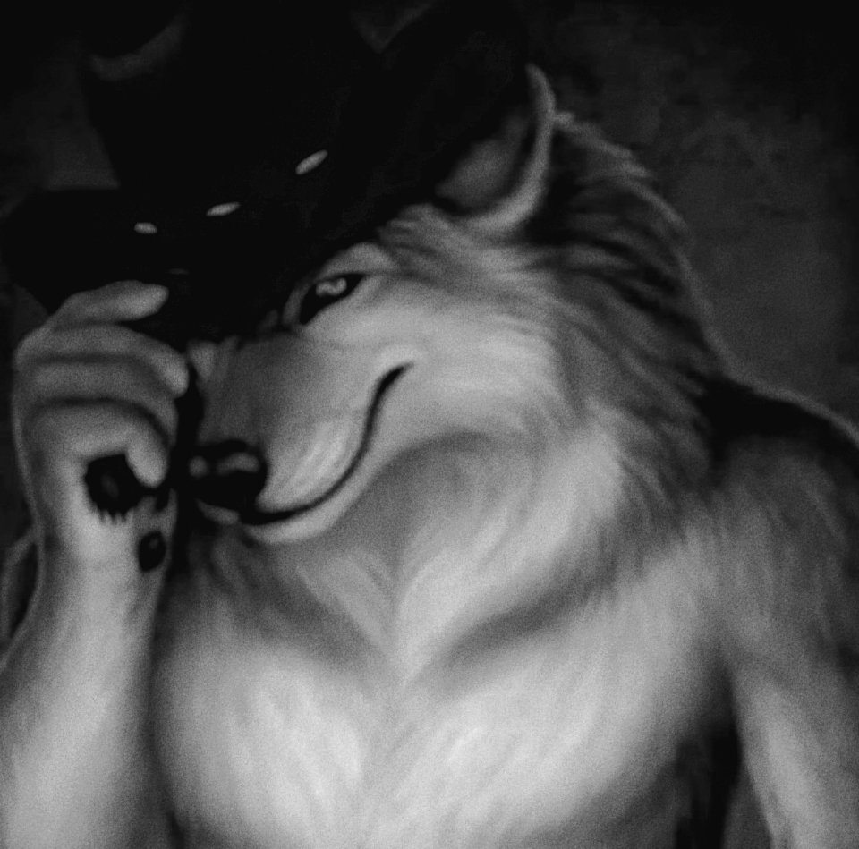 Zenitkh's tweet photo. Fyuh~ 🚬 *menghirup asap* 
Hi 𝓴𝓲𝓽𝓽𝓮𝓷... Alpha dengan feromon ayam geprek datang untuk membawamu, 𝓴𝓲𝓽𝓽𝓮𝓷... don't worry Alpha will protect u, 𝓴𝓲𝓽𝓽𝓮𝓷... please befriend this Alpha.⛓️🔞 https://t.co/WNTYgeWtPh