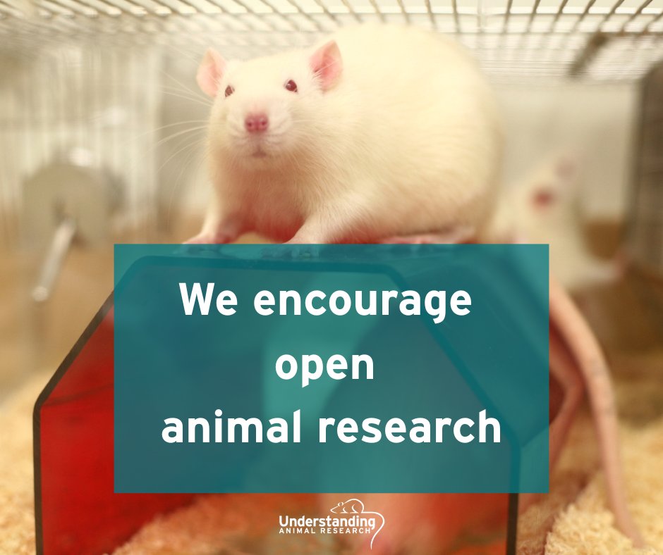 Being open about #AnimalResearch means building trust with the public, helping people understand that this is essential work that is done for the benefit of society. 

#Openness #AnimalTesting #BOARD25 #transparency