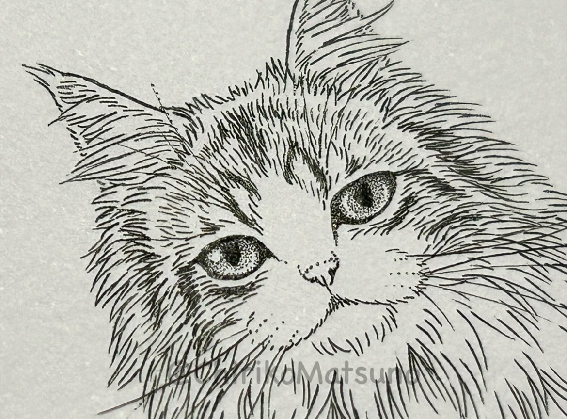 ミニミニの猫

小さくても目は描き込みたい✍🏻