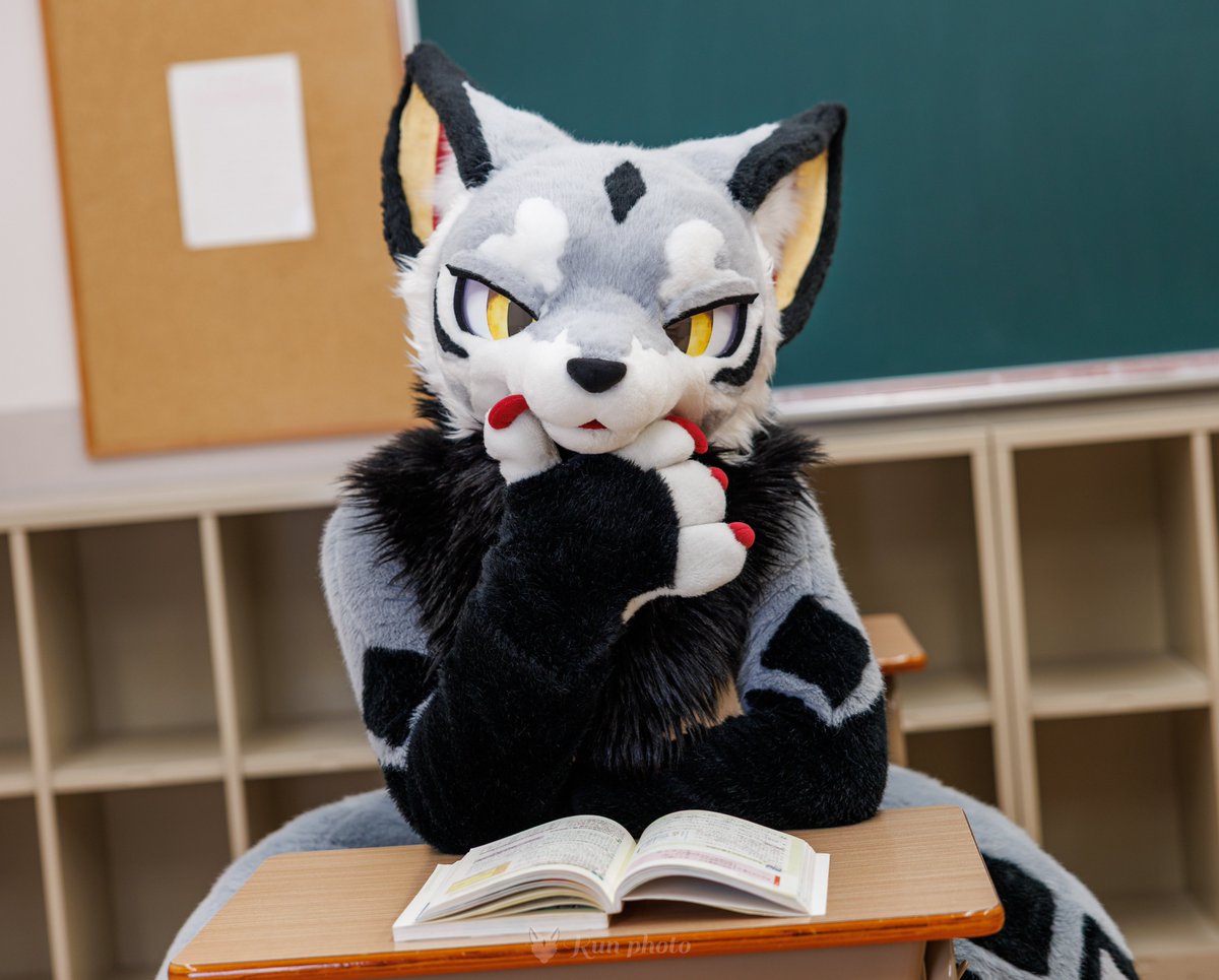 なんかそういうデータあるんですか？