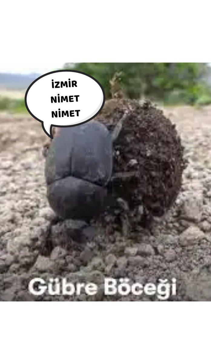 Hamido (@selamicelil) on Twitter photo 