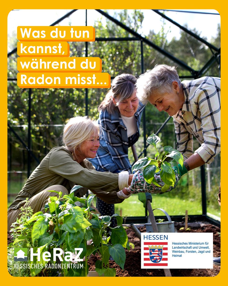 Hessisches Radonzentrum (@radonzentrum) on Twitter photo #Radon messen ist so einfach: Exposimeter ins Regal stellen, ein Jahr warten, Exposimeter an Anbieter zurückschicken, Ergebnis erhalten. #HeRaZ #Garten
Mehr dazu unter: radon-einfach.de #Radon messen ist so einfach: Exposimeter ins Regal stellen, ein Jahr warten, Exposimeter an Anbieter zurückschicken, Ergebnis erhalten. #HeRaZ #Garten
Mehr dazu unter: radon-einfach.de