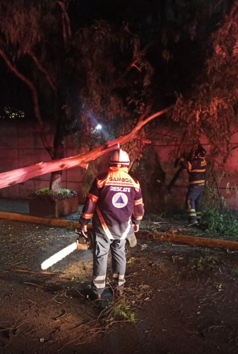 Protección Civil Miguel Hidalgo (@mhprevencion) on Twitter photo Derivado de las fuertes lluvias, en trabajo coordinado <a href="/OlaMHmx/">Servicios Urbanos MH</a> <a href="/BlindarMH/">Blindar MH</a> <a href="/MHPrevencion/">Protección Civil Miguel Hidalgo</a> se atendieron reportes y emergencias urbanas, sin reporte de personas lesionadas. Seguimos atentos. <a href="/mauriciotabe/">Mauricio Tabe Echartea</a> <a href="/AlcaldiaMHmx/">Alcaldía Miguel Hidalgo</a> Derivado de las fuertes lluvias, en trabajo coordinado <a href="/OlaMHmx/">Servicios Urbanos MH</a> <a href="/BlindarMH/">Blindar MH</a> <a href="/MHPrevencion/">Protección Civil Miguel Hidalgo</a> se atendieron reportes y emergencias urbanas, sin reporte de personas lesionadas. Seguimos atentos. <a href="/mauriciotabe/">Mauricio Tabe Echartea</a> <a href="/AlcaldiaMHmx/">Alcaldía Miguel Hidalgo</a>