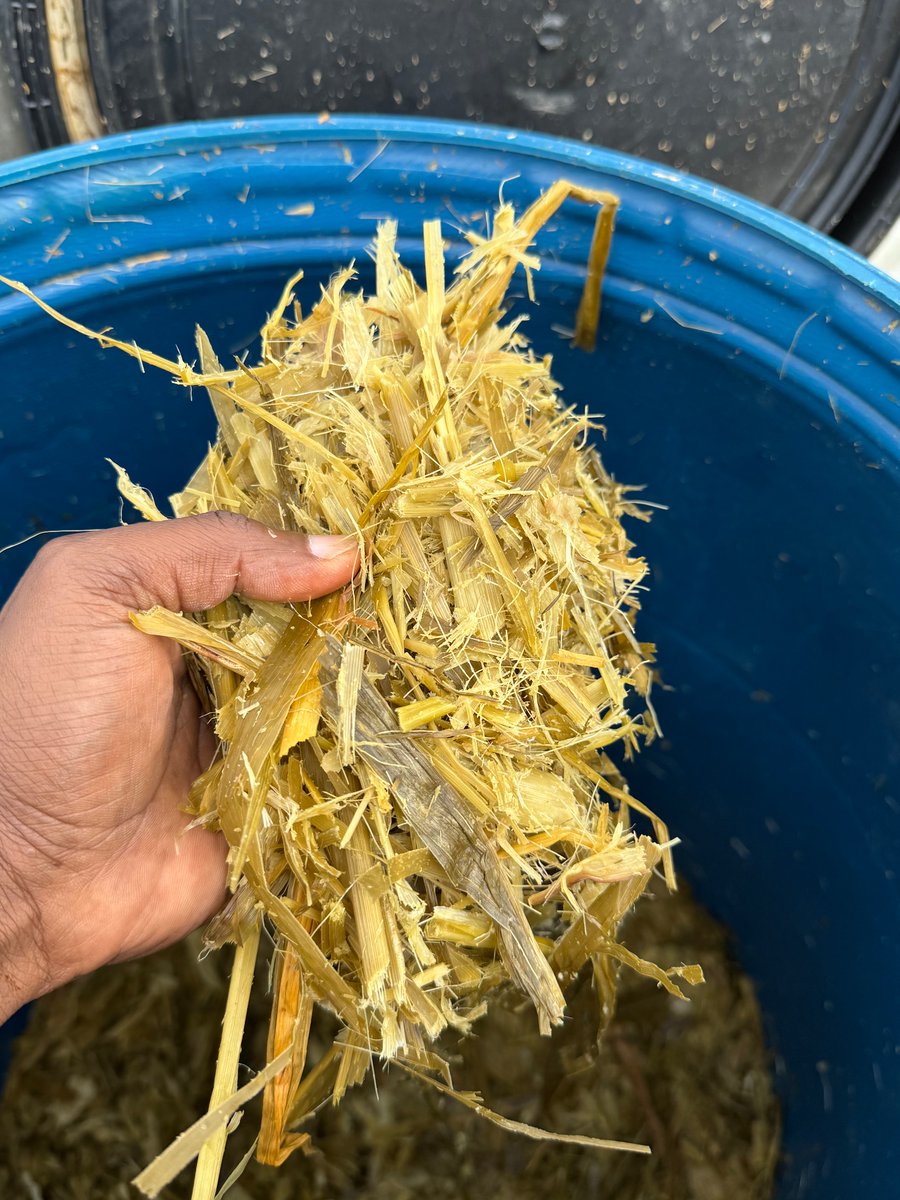 If you or someone you know is into making silage (fodder), these plastic containers work really well. Once sealed, they’re completely airtight, giving you a 100% success rate.