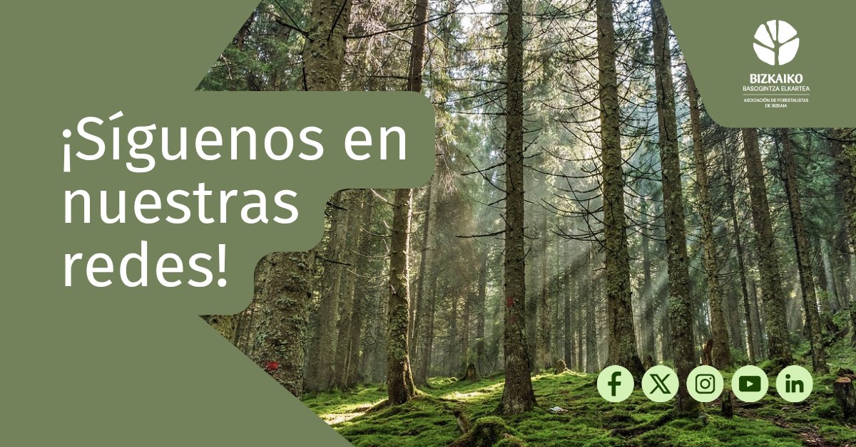 👋 Hoy damos un paso más: #BasoaBizkaia ya está en X.
🌲🌳 +40 años defendiendo los intereses de la propiedad forestal de nuestro territorio. Este será un nuevo punto de encuentro para compartir conocimientos, noticias, experiencias y mucho más.
¡Síguenos!