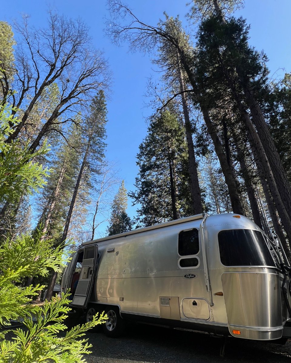 Unplug &amp; unwind in unreal settings.

Adventure begins where the forest meets the Airstream. 

📸 airstream_rmwvu via IG