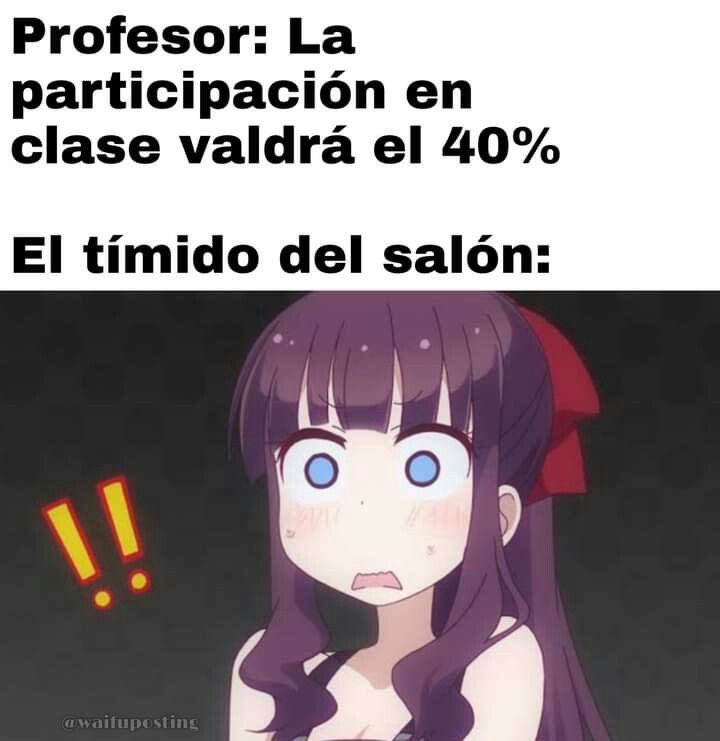 Ustedes son tímidos?