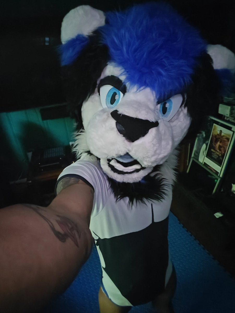 🦁 Lewd Lion/Pup Zerbert🐶 tweet media