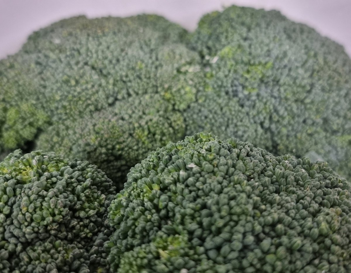 ZestFoodService's tweet photo. UK Broccoli is here! 🇬🇧🥦🇬🇧🥦

And UK Cherries aren't far away... 🍒🍒

Read Zest News here >> 
https://t.co/iLeiT62coJ https://t.co/kSjVYccfTc