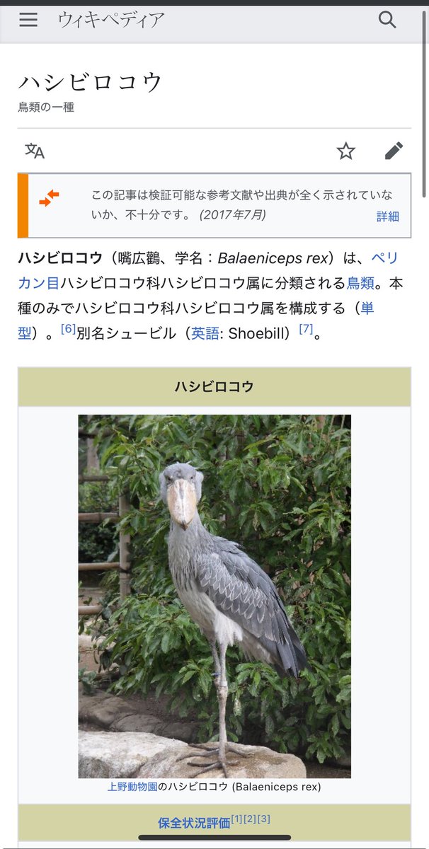 내가 괜히 넓적부리황새를 좋아했던 게 아니었구나!!