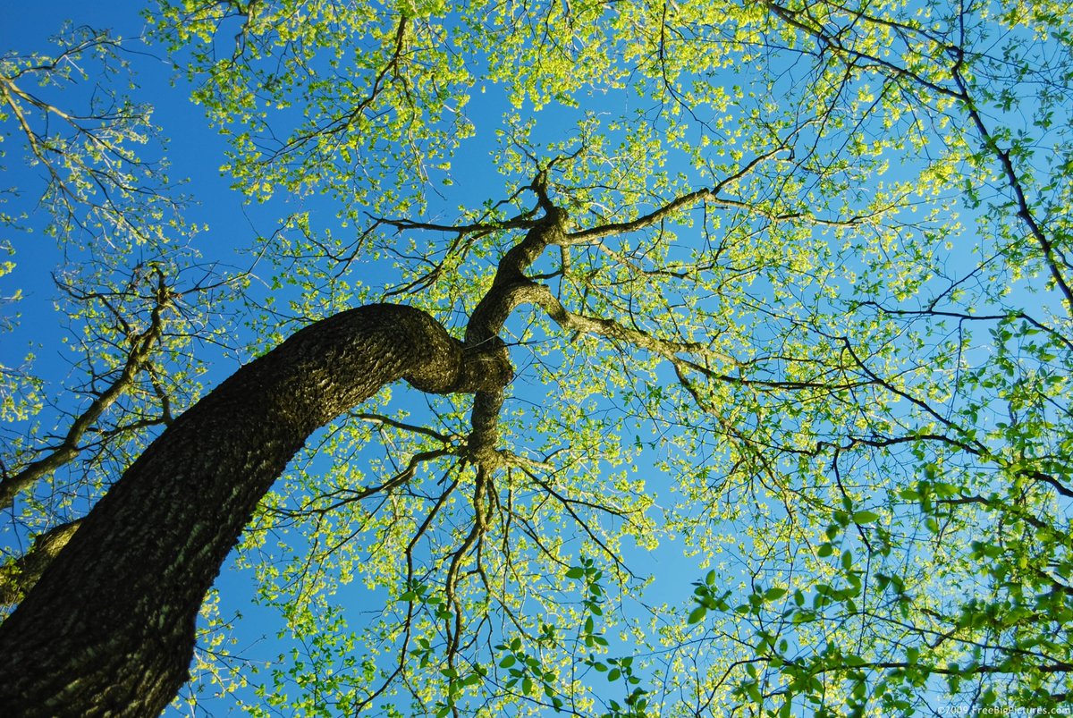 mailchi.mp/openairfit/jun… June Fitness Fundraiser and time to get booking on to our Summer Holiday Camps