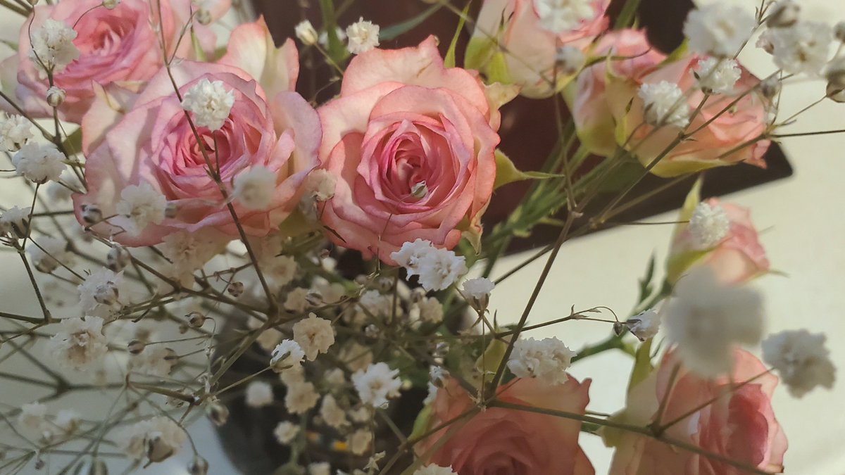 Now Playing : IBBC - Deviate
youtu.be/u4TBtEqM1eQ?si…