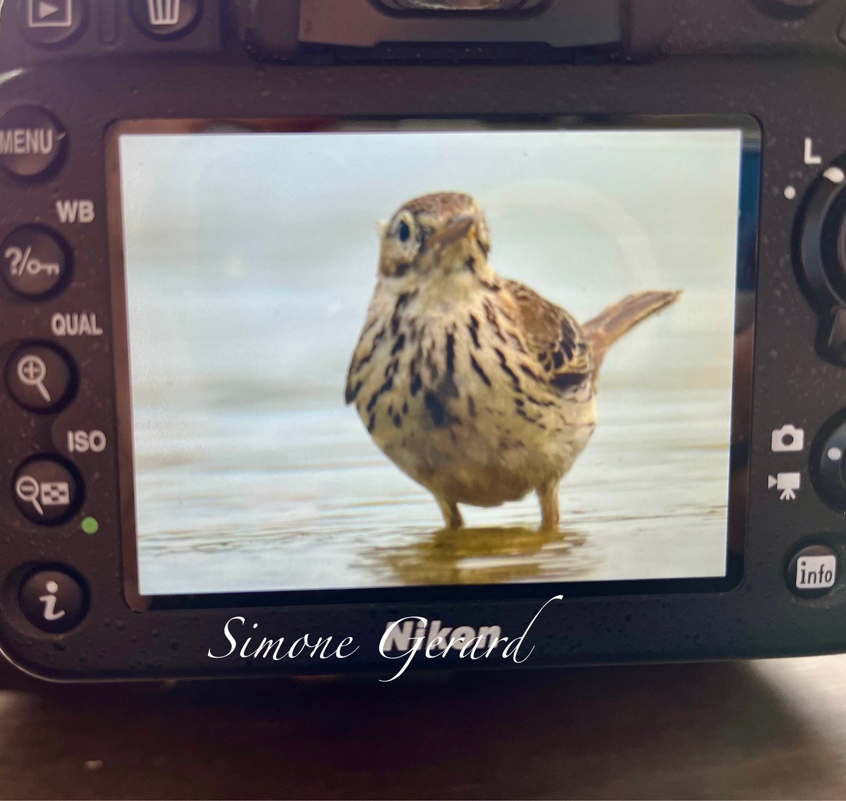 Another day in the office.