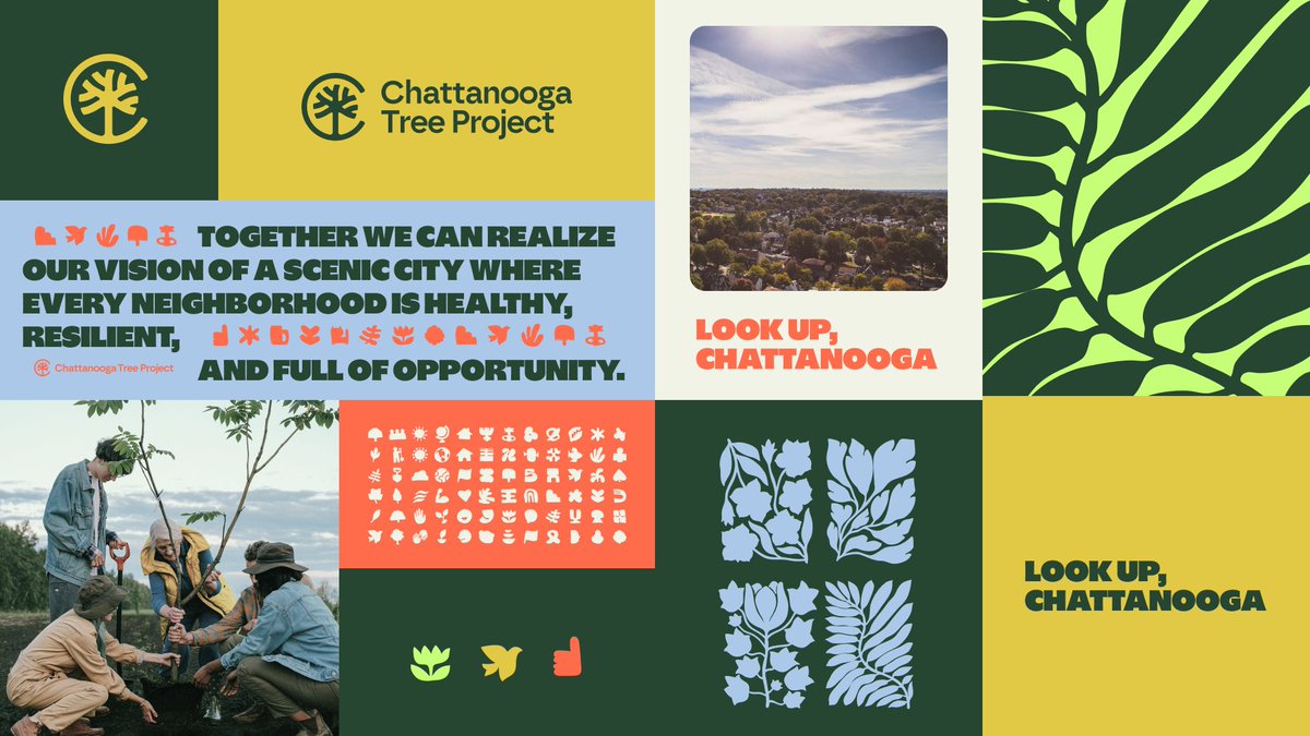 LOOK UP, CHATTANOOGA. The Chattanooga Tree Project is leading a journey to plant thousands of trees in neighborhoods where they’ll make the biggest difference. Working with organizers, we designed this initiative to feel human, hopeful, and rooted in place.chattanoogatreeproject.org