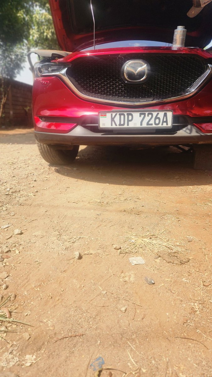 Service day and routine maintenance