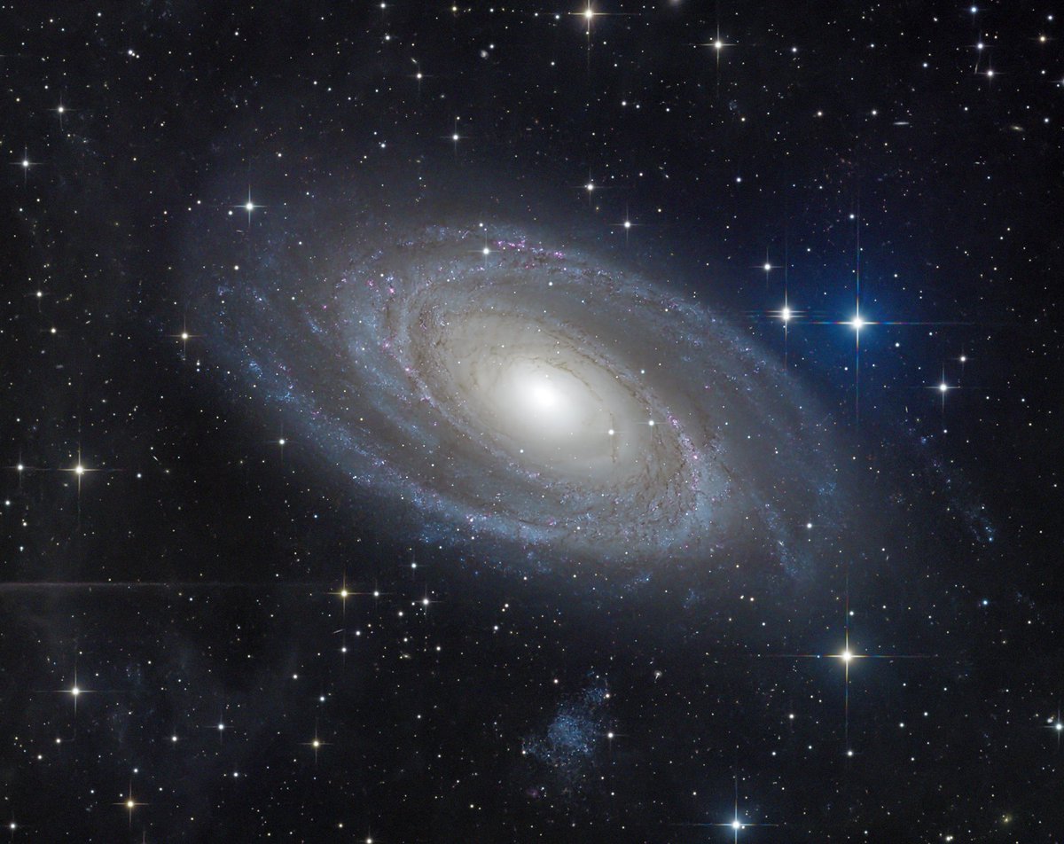 Richard S. Wright Jr tweet media