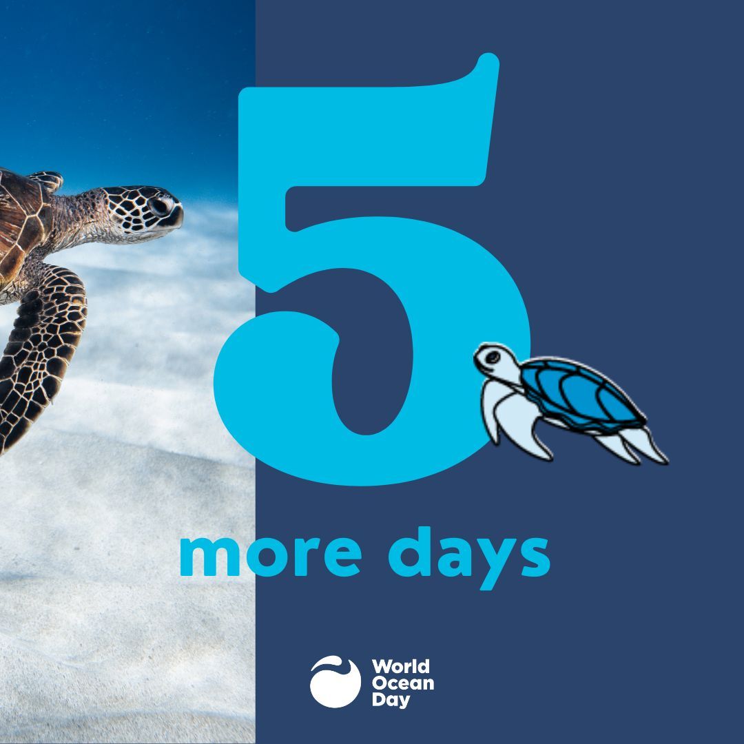 What action will you take for the ocean on World Ocean Day? Will you clean a beach, plant mangroves, or advocate for marine protection?