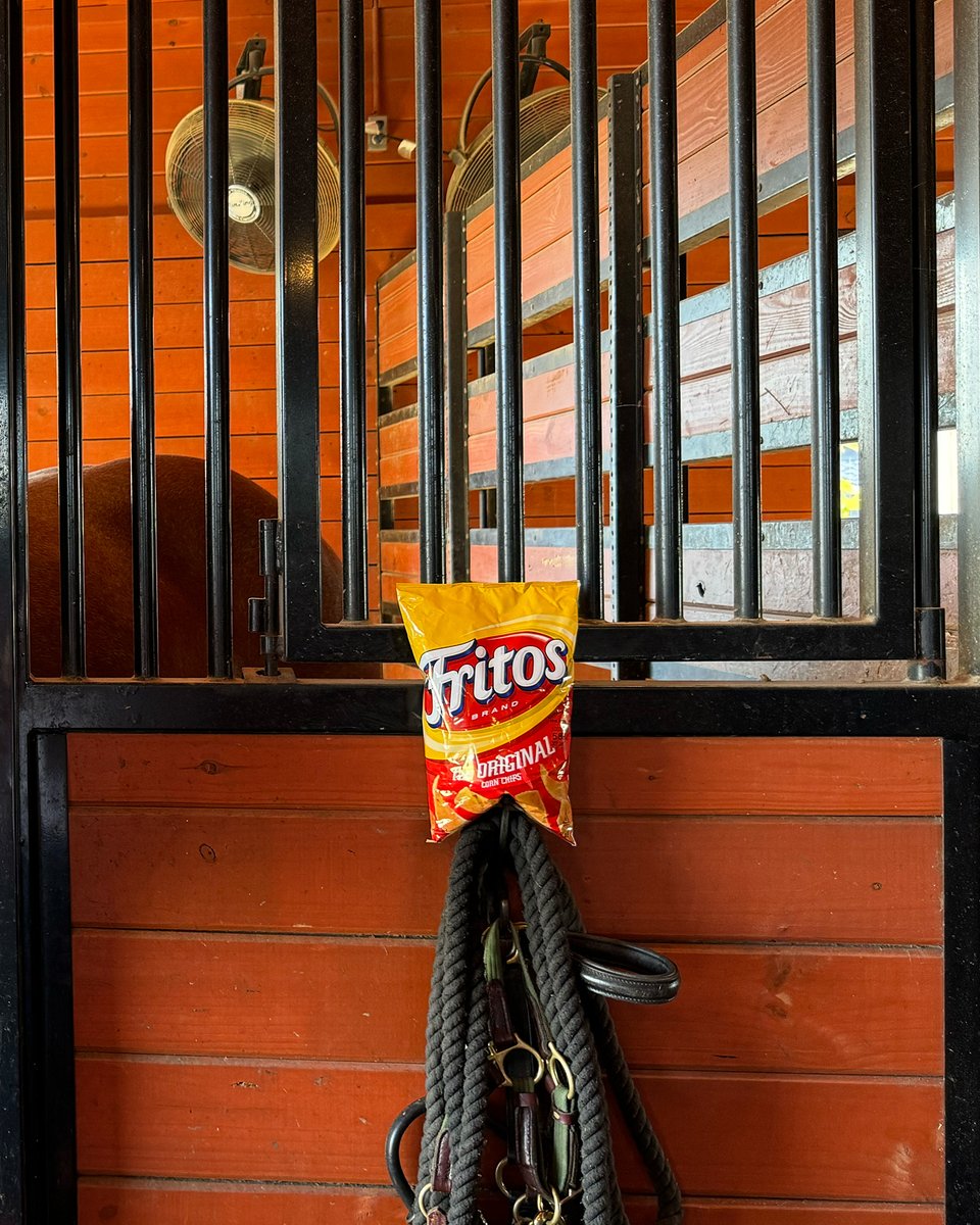 Rope, saddle, Fritos. Let’s goooo.