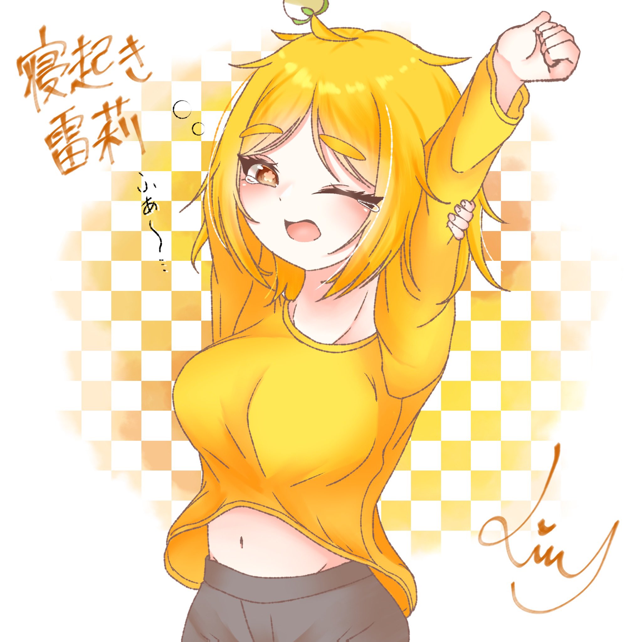 lilly❤︎‬様【リピーター様点おまとめ】 lilly‪様専用【リピーター様4点オーダー2点おまとめ−】‬
